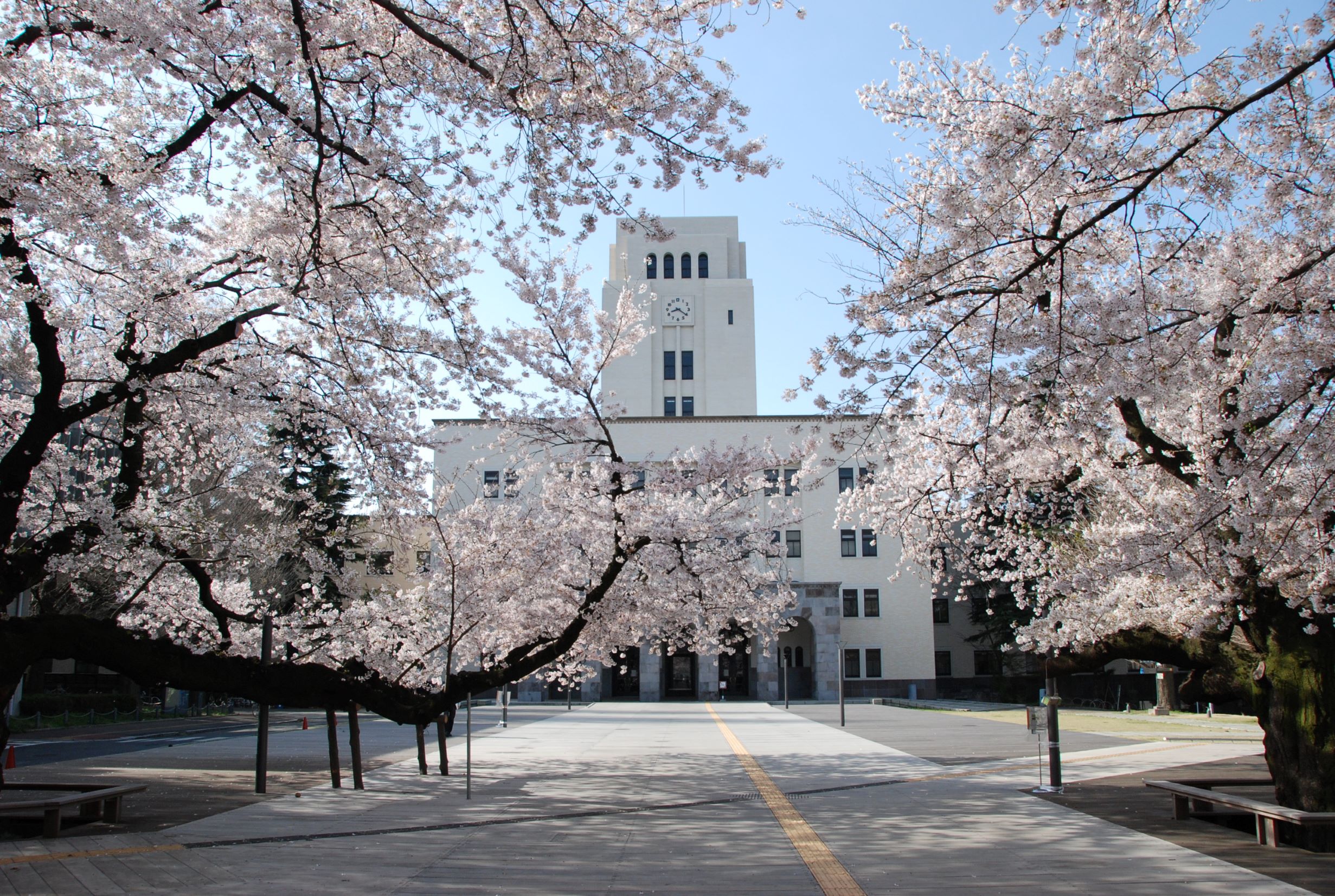 東京科学大学 医歯学系（旧・東京医科歯科大学）｜大学ブース